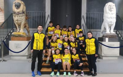 ALCAMPO-Scorpio71 consigue el bronce en categoría Promoción en el European DNA Meeting por Clubes